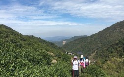 浙江绍兴各市海拔多少米？绍兴到东白山多少公里