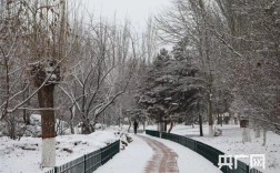 内蒙古包头市下大雪是什么时候？内蒙古包头市现在多少度