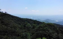 听说湖北荆门市有一个叫绿林山的风景区，适合老人家去旅游吗？荆门的温度是多少