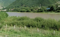 黄南藏族自治州海拔高度是多少？同仁县城区海拔多少米