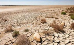 土地荒漠化每年给地球造成经济损失，怎样解决？地球一年沙漠化多少