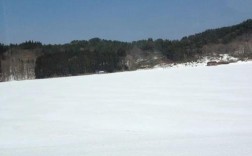 白云区哪里可以看雪？广州白云区冬天最冷多少度