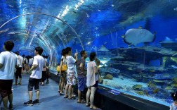 郑州海洋馆室内温度多少？成都海洋馆温度多少