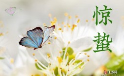 惊蛰冷不冷？惊蛰一般气温多少