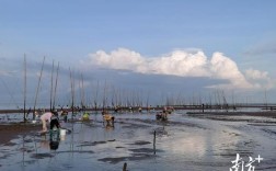 湛江遂溪哪里赶海？遂溪距草潭镇多少公里
