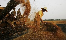 截止到2023年6月4日安徽省阜阳市的小麦收割多少了？阜阳5月房产价格是多少时间