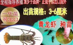 国产青龙养殖技术？青龙养多少度