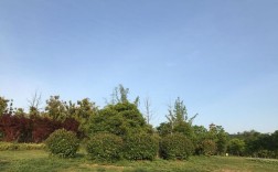 蚌埠天气预报？怀远天气预报多少度