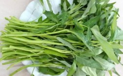 空心菜多少温度长得快？空心菜要多少湿度