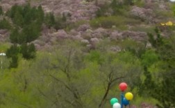 齐齐哈尔北三区面积？拜泉到碾子山多少公里