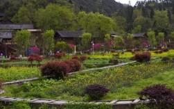 贵州正安桃花源景区海拔？正安县政府海拔高度多少米