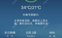 怎么查看当地钓鱼指数？今天的钓鱼指数是多少钱