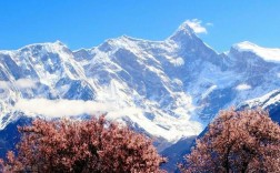 林芝旅游景点海拔多少？加查海拔是多少米