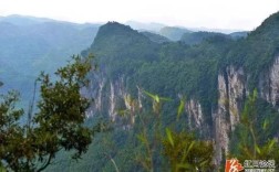 桑植县官地坪镇将建通用飞机场？官地坪到桑植班车多少钱