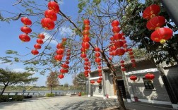 阳江春节最佳去处？广东阳江春节多少度