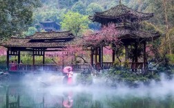 常德桃花源2023年桃花开了吗？常德最低温度多少