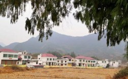 江西剩女最多地方是哪？九江修水白岭多少个村