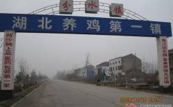 湖北省汉川市分水镇邮编是多少？汉川的区号是多少钱