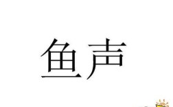 鱼是怎样听声音的？鱼声音乐有多少年了
