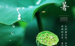 24节气每两个节气之间相差多少天大暑和小暑？小暑和大暑之间是差多少天