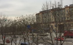 聊城市有几个县？东昌府区气温是多少