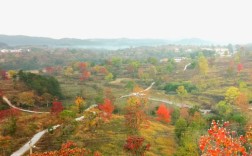 大悟红叶最佳观赏时间？大悟气温多少度