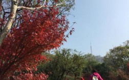 栖霞区海拔多少米？栖霞纬度是多少