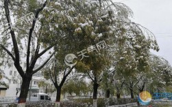 2023年铜陵冬天天气有大暴雪吗？铜陵冬季气温是多少