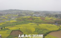 织金县金碧镇有多少人口？黔西雨朵镇有多少人口