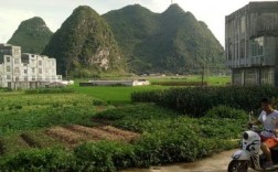 百色靖西县有哪几个乡？广西省靖西市龙临镇多少人口