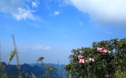 终南山杜鹃几月份开放？终南山现在气温多少度
