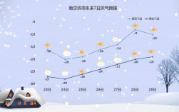 2021年十二月很冷吗？十二月哈尔滨气温多少