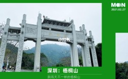深圳大梧桐山有多高？深圳梧桐树温度多少