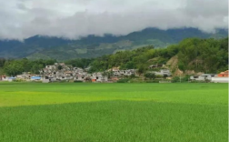 昆明出去有哪些城市？梁河芒东镇有多少傣族人口