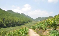 万州茨竹海拔是多？万州茨竹乡有多少个村