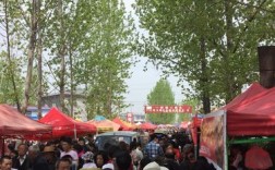 上蔡县最大的乡镇集市？上蔡到齐海多少公里