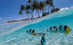去塞班岛玩贵吗？现在塞班岛的温度是多少