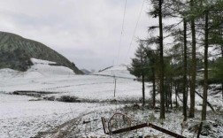 湖北的冬天冷吗？湖北去年冬天多少度