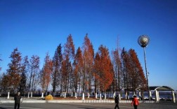 丹东夏天最冷多少度？2019年丹东冬季最冷气温是多少度