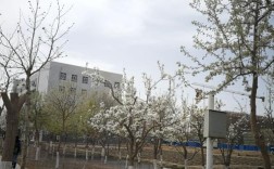 塔里木大学冬天冷么？阿拉尔市全年气温多少