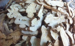 白术主产地今年雨势情况？浙江奉化的气温多少度
