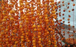 兰州附近哪能拍到柿子？兰州柿子批发多少钱