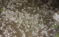 山东省济南市济阳县下冰雹了、到底是什么情况？青州离夏邑济阳镇多少公里