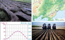 东北平原的降水量的特点是什么？东北夏天气温现在多少度