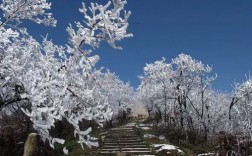为什么都3月份了还这么冷啊？贵州桐梓冬天温度多少时间