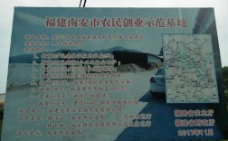 南安新生儿户口办理流程？南安市码头镇计生办电话多少