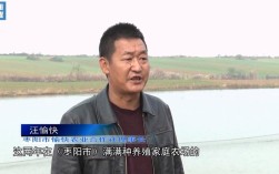 襄樊枣阳的市区面积有多大？青龙山农场有多少人口