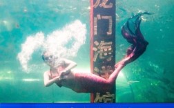龙门海洋馆现在里面多少度？洛阳龙门今天气温多少度