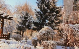 铁岭什么时候下雪啊求？铁岭冬天多少度