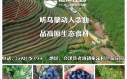 云南会泽最适合种植什么水果？会泽县者海镇海拔高度多少